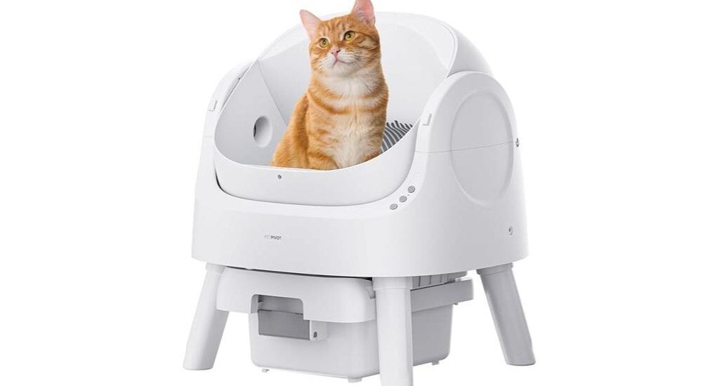 automatic self cleaning litter box