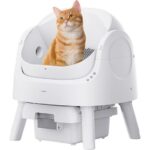 automatic self cleaning litter box