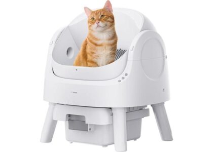 automatic self cleaning litter box